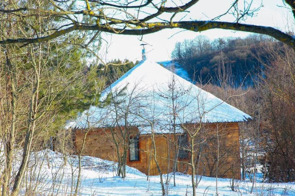 Козацька Фортеця Pliskachevka Bagian luar foto