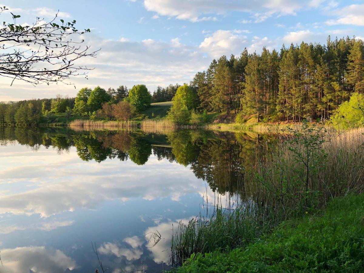 Козацька Фортеця Pliskachevka Bagian luar foto