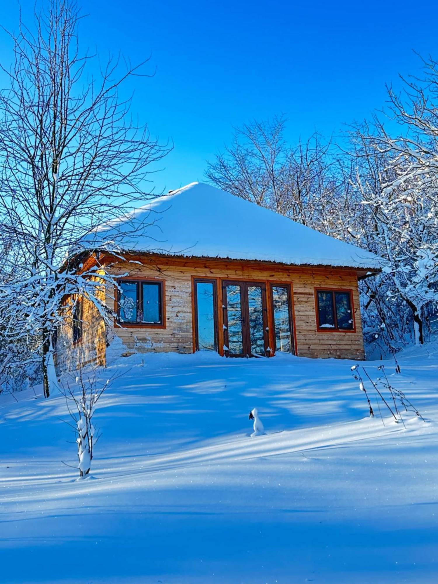 Козацька Фортеця Pliskachevka Bagian luar foto